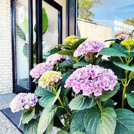 Hochwertige Mit Sonnenterrasse & Gartenblick, Nur Wenige Gehminuten Zum 아파트 샬베우츠